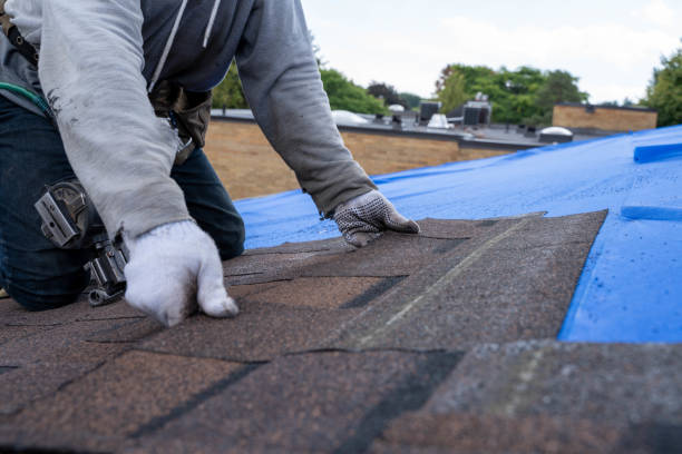 Best Storm Damage Roof Repair  in Townsend, DE